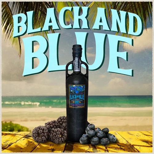 Bottle of Black and Blue port with berries on a beach setting