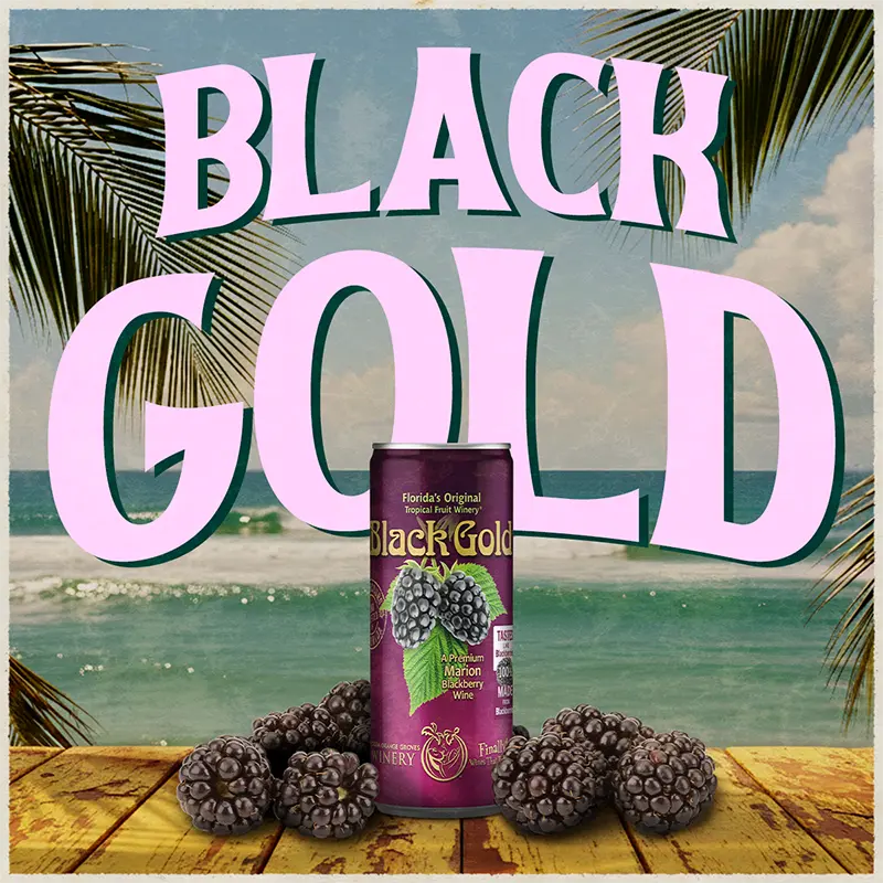 Can of Black Gold wine with blackberries on a beach background