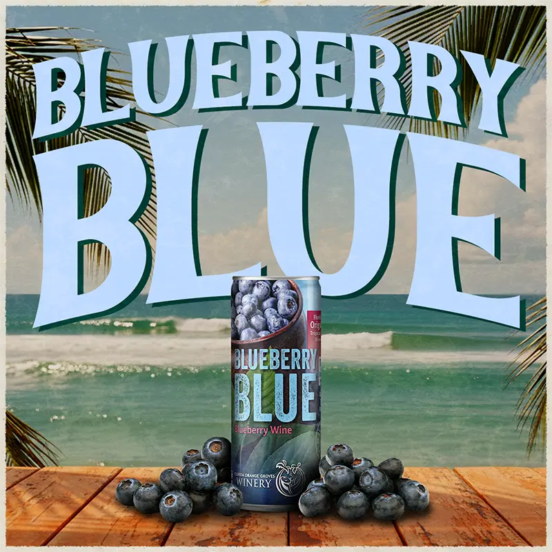 Can of Blueberry Blue wine with blueberries on a wooden surface and beach background