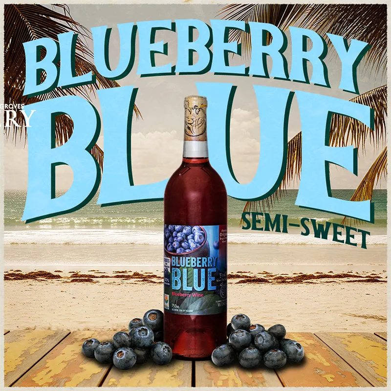 Bottle of Blueberry Blue semi-sweet wine with blueberries on a wooden surface and beach background.