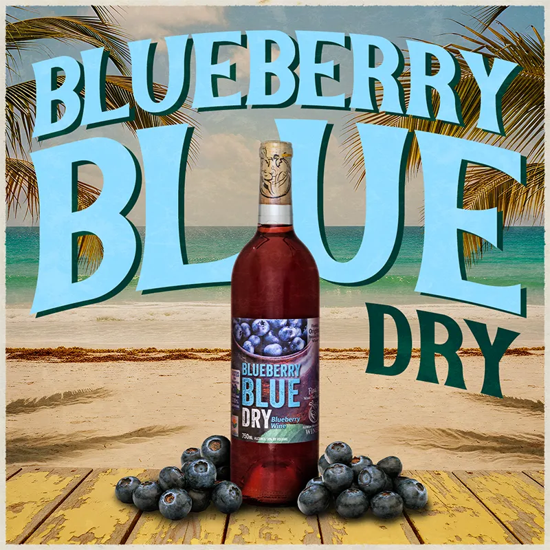 Bottle of Blueberry Blue Dry wine with blueberries on a beach-themed background