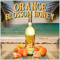Bottle of orange blossom honey wine with fruits and honeycomb on a beach background
