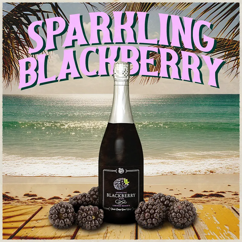 Bottle of sparkling blackberry wine on a beach with palm trees and ocean in the background.