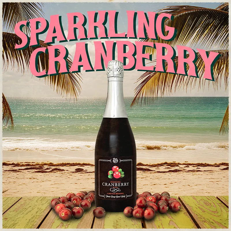 Bottle of sparkling cranberry wine with cranberries on a beach background
